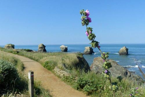 Apartamento Studio Cocooning Sur La Corniche