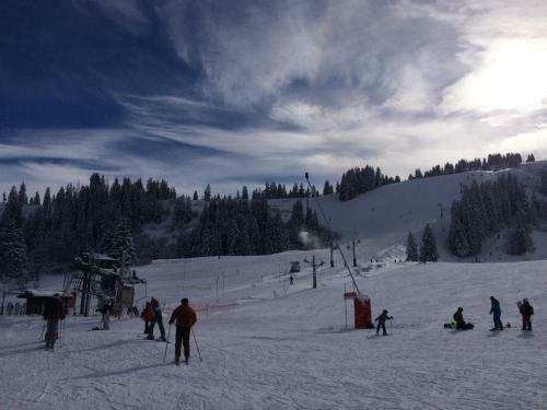 Chalet Serin
