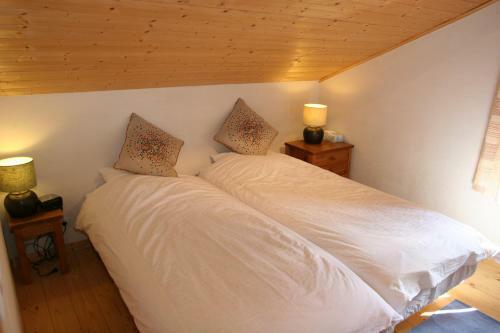 Chalet Peillex