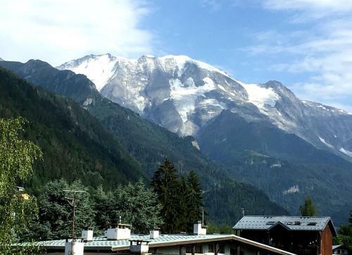 Les Jardins Alpins - Apartment