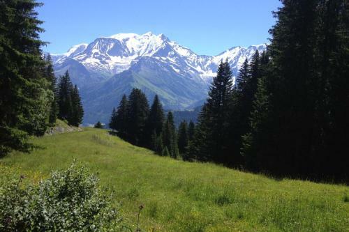 Les Jardins Alpins - Apartment