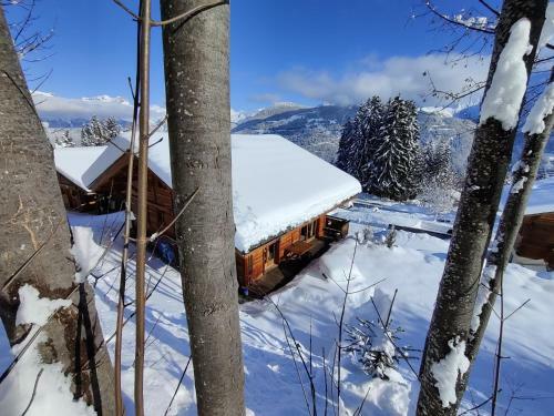 Chalet Ibex