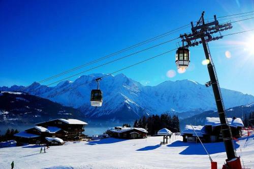 Chalet Ibex