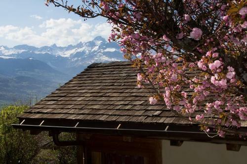 Chalet Cosy Proche Tramway Du Mont-blanc Et Centre