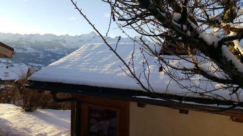 Chalet Cosy Proche Tramway Du Mont-blanc Et Centre