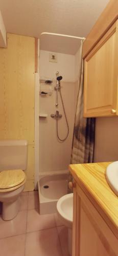 Apartamento Appartement T1 T�l�cabines de Saint Gervais