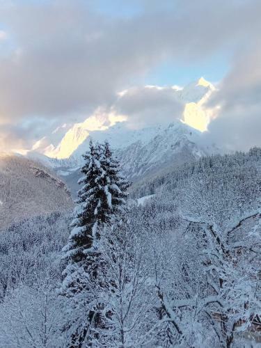 Apartamento Vue Mont Blanc Exceptionnelle