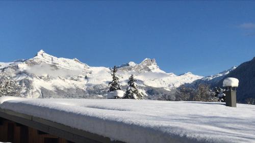 Apartamento Le Mont Blanc 160