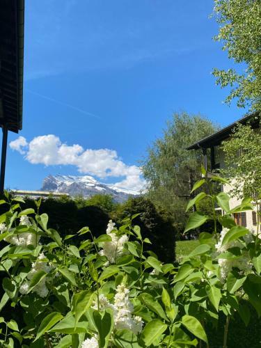 Apartamento Appartement Rez de Jardin Expo Sud