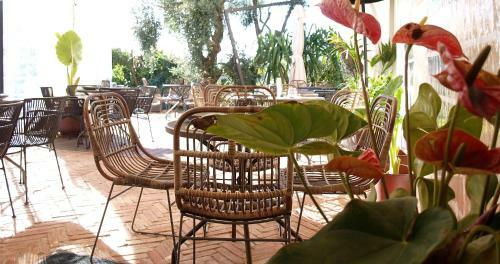 Hotel Avocado H�tel Restaurant