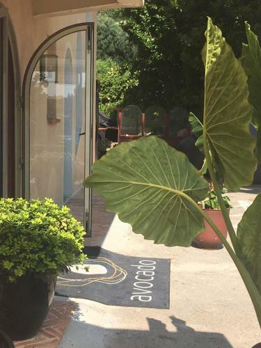 Hotel Avocado H�tel Restaurant