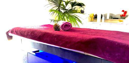 Hotel Avocado H�tel Restaurant