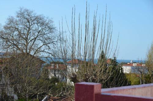 Apartamento Studio R�sidence Ongui Ethorri