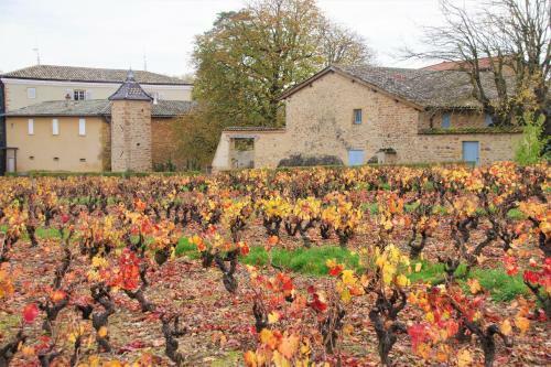 Bed & Breakfast Le Vieux Pont