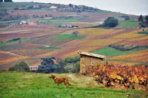 Bed & Breakfast Le Vieux Pont