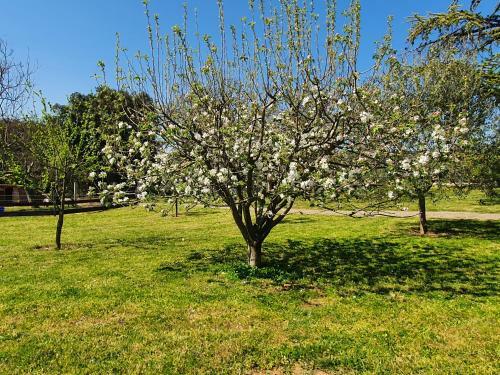 Agroturismo Mas Des Gardies