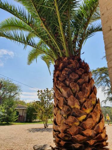 Agroturismo Mas Des Gardies