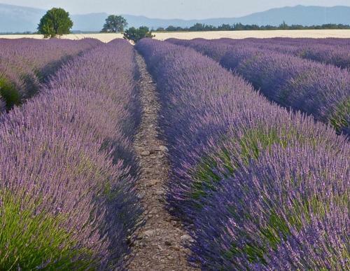 Coutelon, Havre de Paix En Pleine Nature