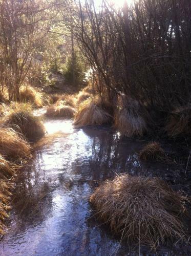 Coutelon, Havre de Paix En Pleine Nature