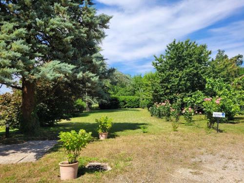 Hostal Chambres D�h�tes Le C�dre Bleu