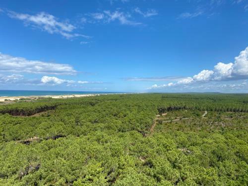 Les Dunes De Contis