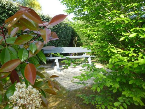 Maison Landes Plage Oc�an