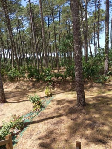 Le Frene " Camping Les Dunes de Contis " St Julien En Born