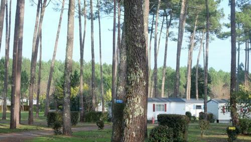 Mobil-home Camping Les Dunes De Contis