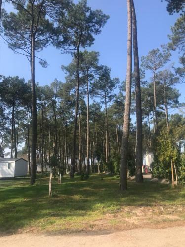 Escape Mobilhome Aux Dunes De Contis