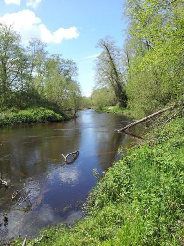 Village Oc�landes 187