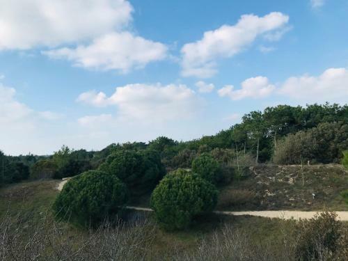 Maison For�t Et Piscine, Les Mas De Vertmarines