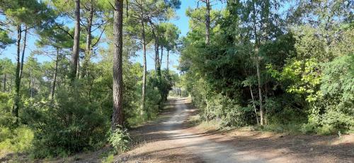 Apartamento Studio Bel Eden � 30m De La Plage