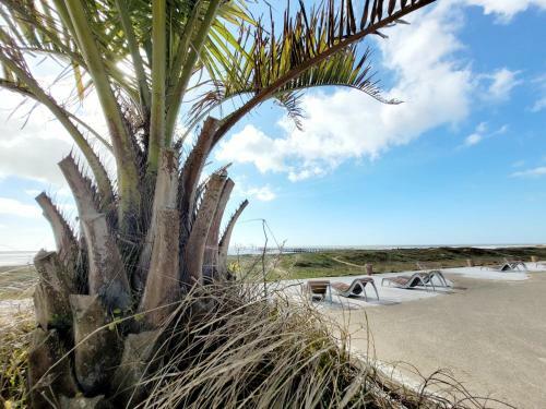 Apartamento Le Myholidee - Rue Pietonne - Plage A 200m
