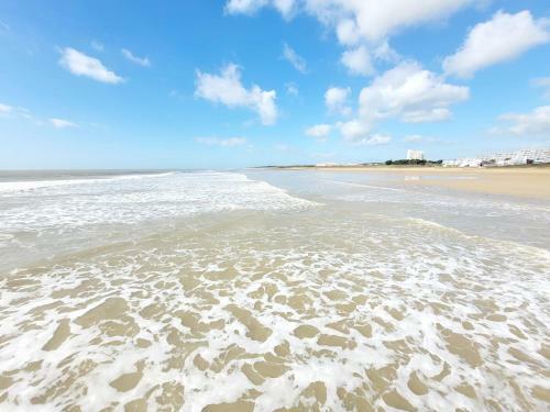 Apartamento Le Myholidee - Rue Pietonne - Plage A 200m