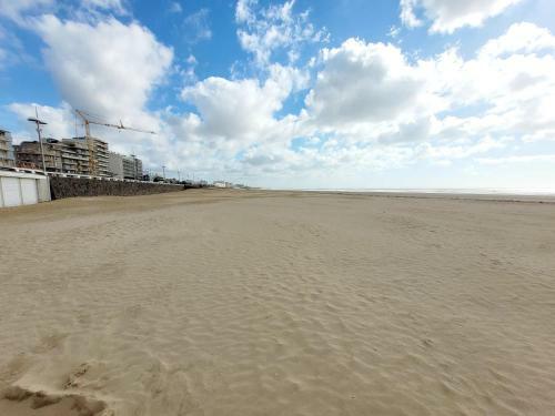 Apartamento Le Myholidee - Rue Pietonne - Plage A 200m