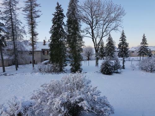Hostal La Pause � Logis