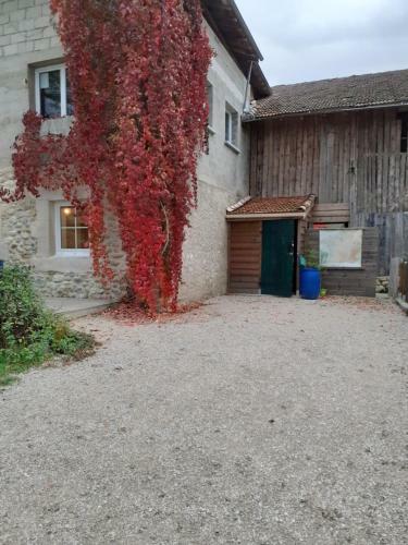 Okami Du Vercors