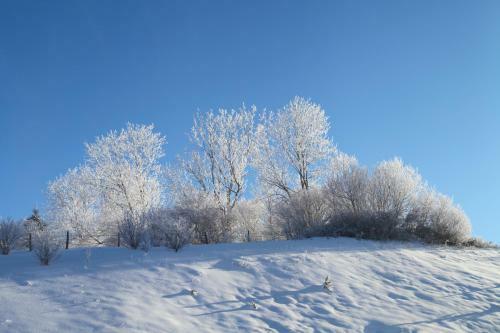 Le Refuge Des Marmottes