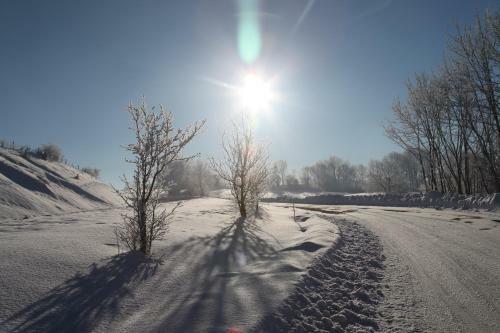 Le Refuge Des Marmottes
