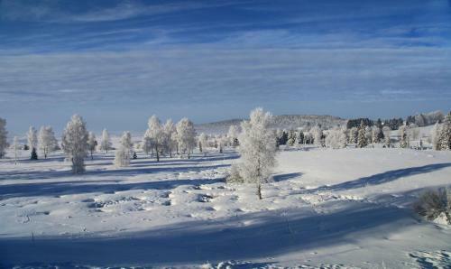 Le Refuge Des Marmottes
