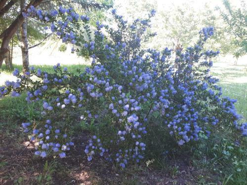 L?escale C�t� Jardin