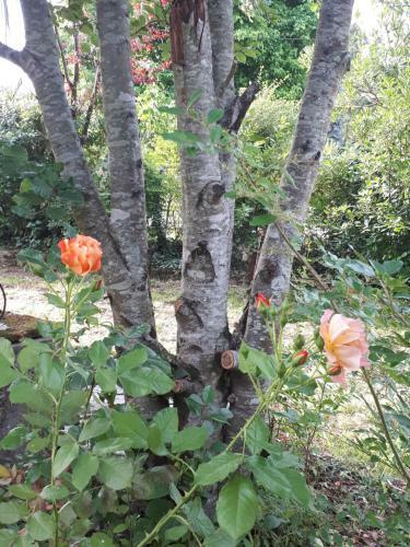 L?escale C�t� Jardin