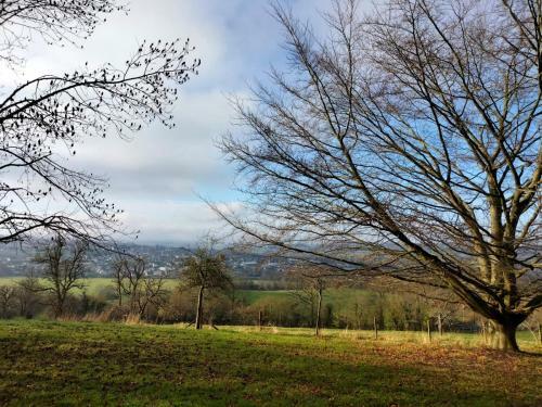 Apartamento Le Mont Menard