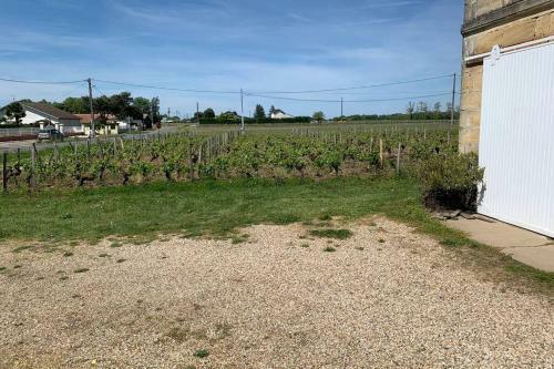 Ch�teau Roseyrol Proche Saint-emilion