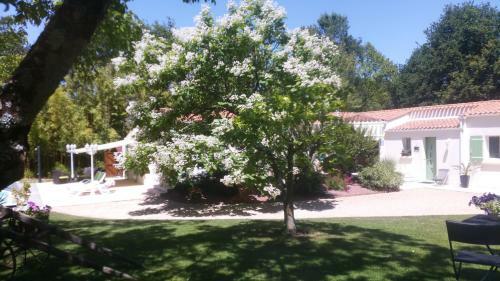 Bed & Breakfast "l'aubaine 85"