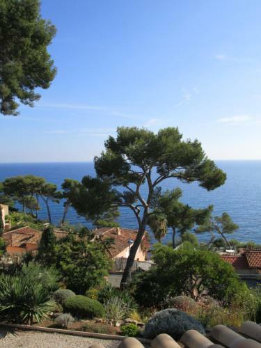 Bed & Breakfast Les Bruyeres