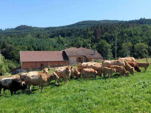 G�te Saint-marcel-d'urf�, 4 Pi�ces, 5 Personnes - Fr-1-496-235