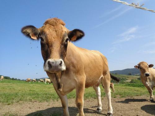 G�te Saint-marcel-d'urf�, 4 Pi�ces, 5 Personnes - Fr-1-496-235