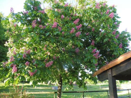 Bed & Breakfast L'instant Jardin