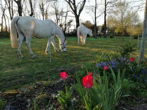 Bed & Breakfast L'instant Jardin